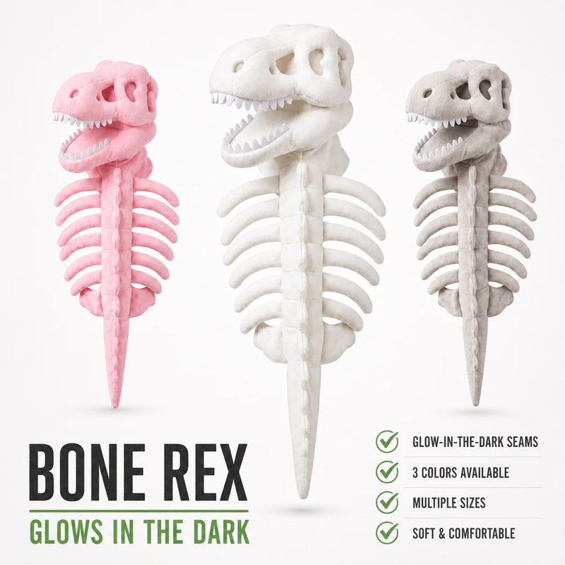 Dino Skeleton Costume