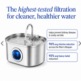 Fontaine à eau pour chat en acier inoxydable — PawlyBuddy™ 3