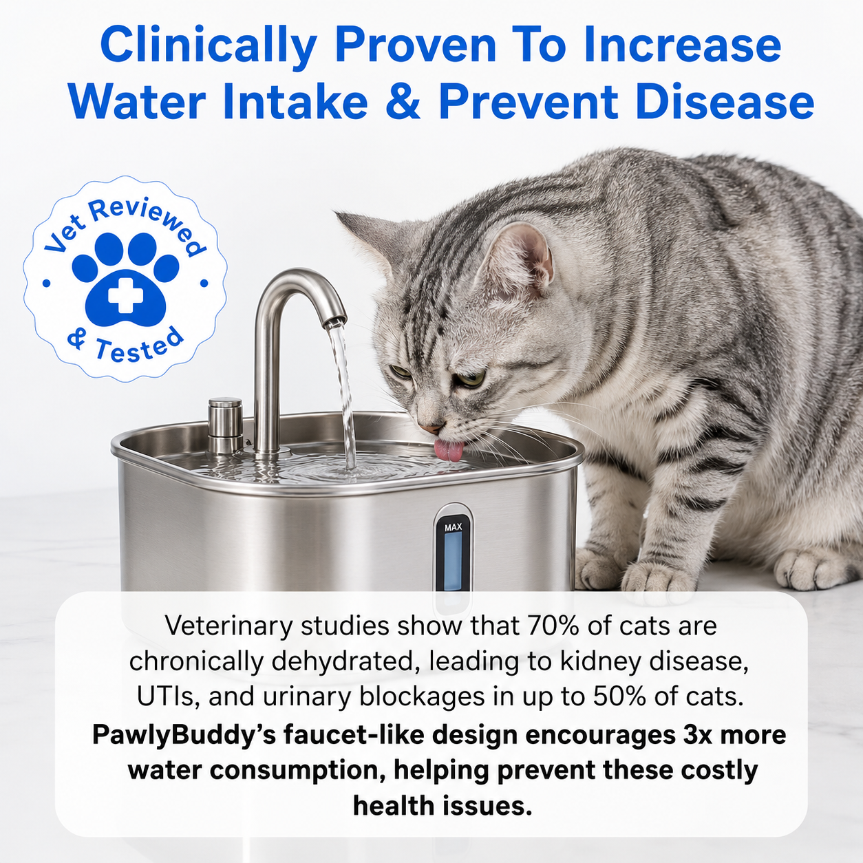 Stainless Steel Water Fountain Pet — PawlyBuddy™