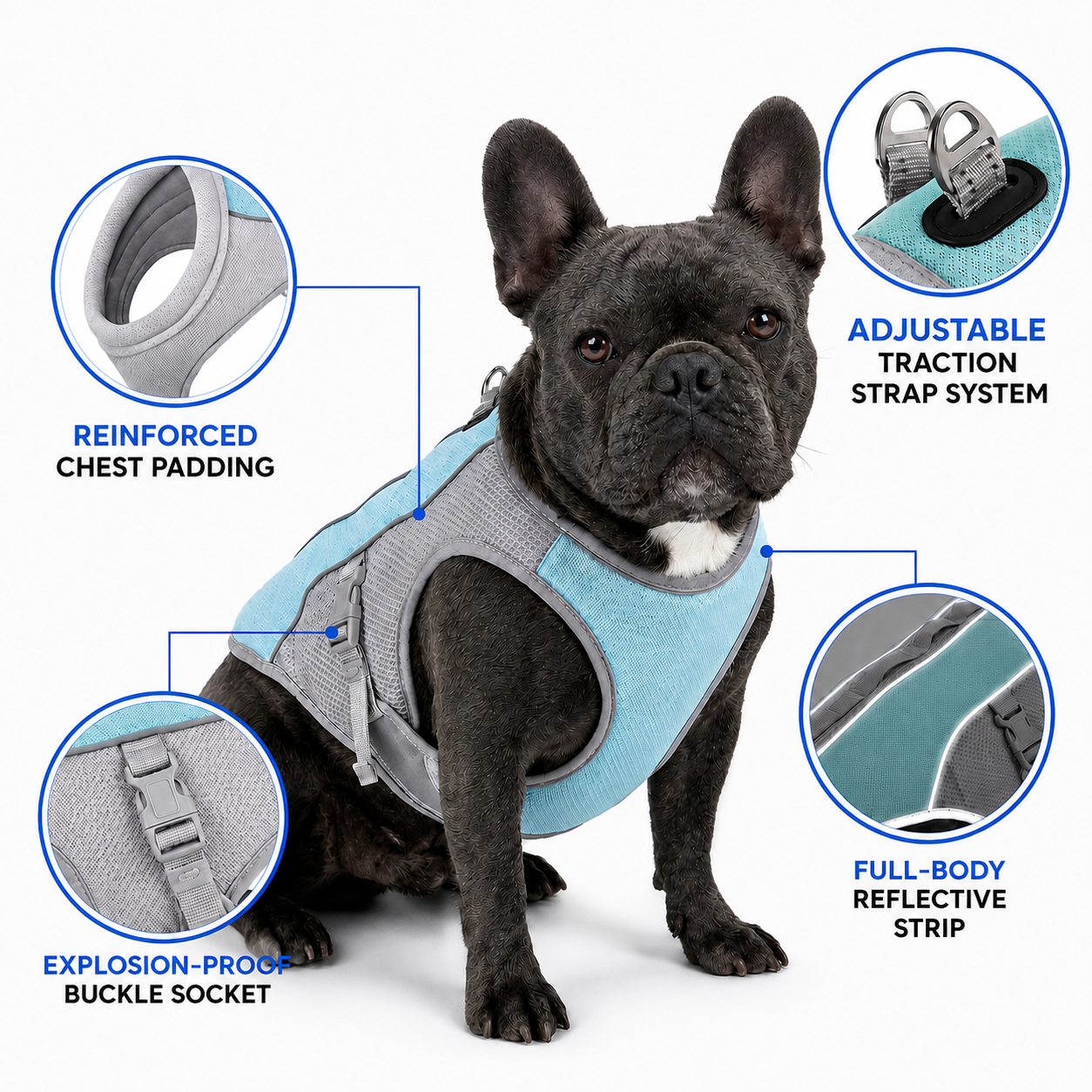Cooling Vest for Dogs — PawlyBuddy™