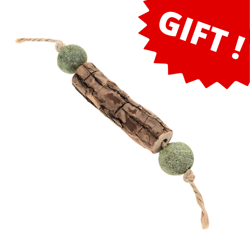 Catnip Tooth Cleaning Stick