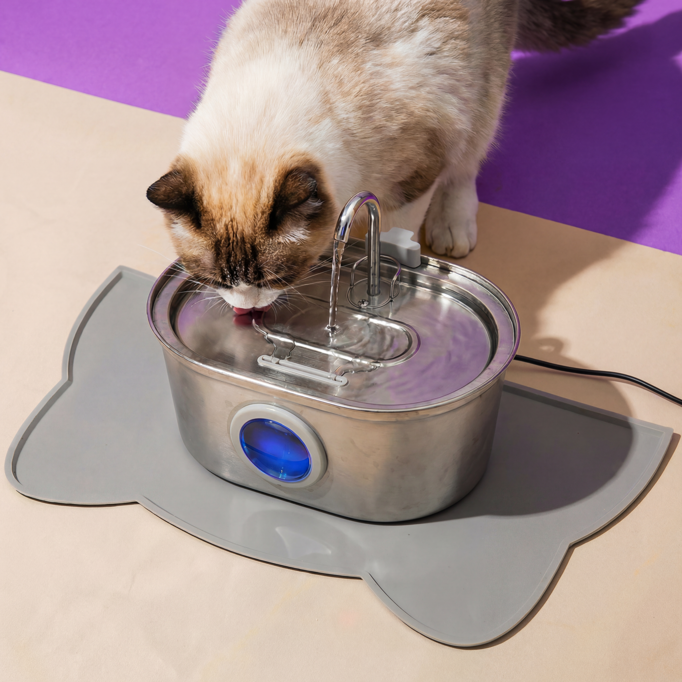 Tapis anti-éclaboussures pour chats — PawlyBuddy™